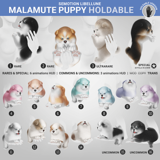 SEmotion Libellune Malamute Puppy Holdable ULTRARARE 03