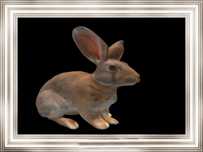 HB: Bunny Rabbit FULL PERM