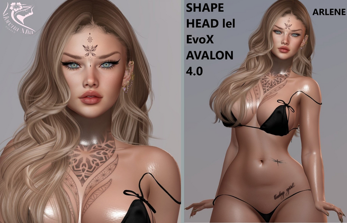 ARLENE SHAPE HEAD EvoX  AVALON 4.0 Lelutka (Maitreya,larax,legacy,,Reborn,Erika ,,Belleza Gen.X Curvy.Kupra