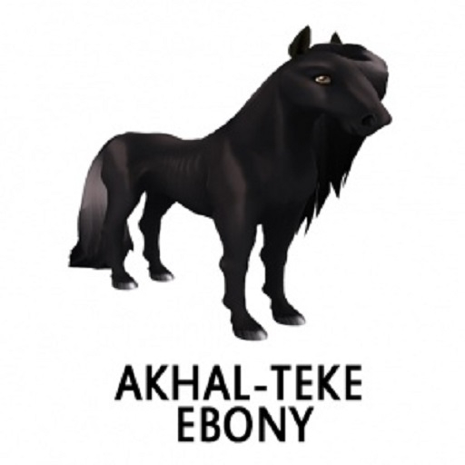 AkhalTeke Ebony F