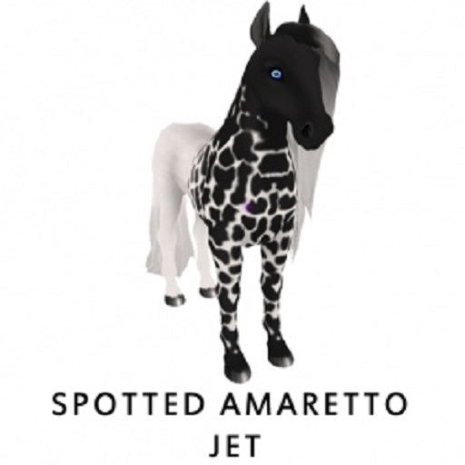 Spotted Amaretto Jet M