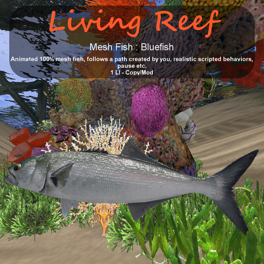 Inochi Reef : Mesh Fish - Bluefish