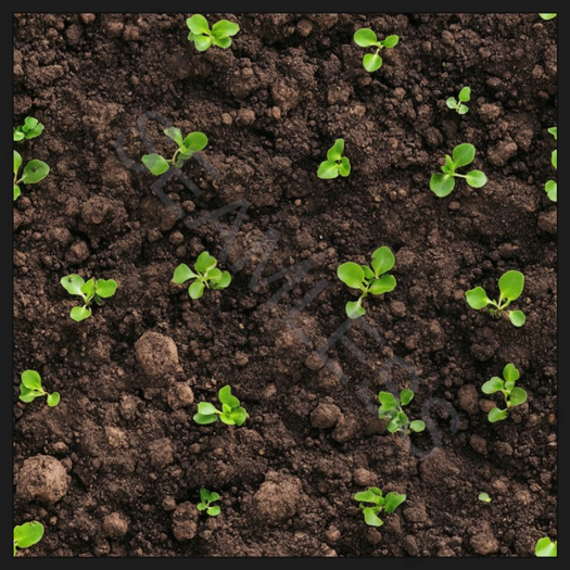 Seamless- Fertile Farm Soil 1