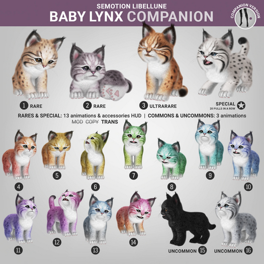 SEmotion Libellune Baby Lynx Companion COMMON 10