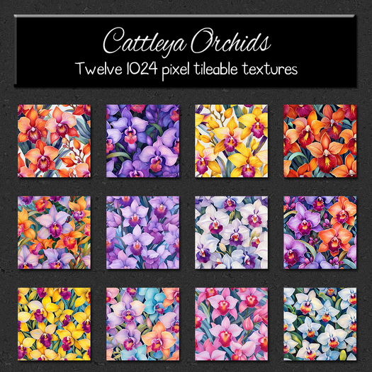 *Wallflowers* Cattleya Orchids