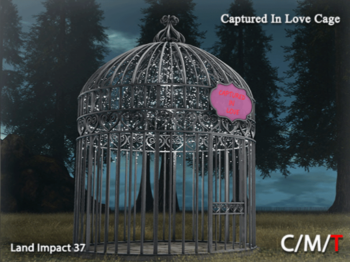 "Killer's" Captured In Love Cage