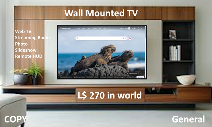 LBB - WALL MOUNTED TV (G)