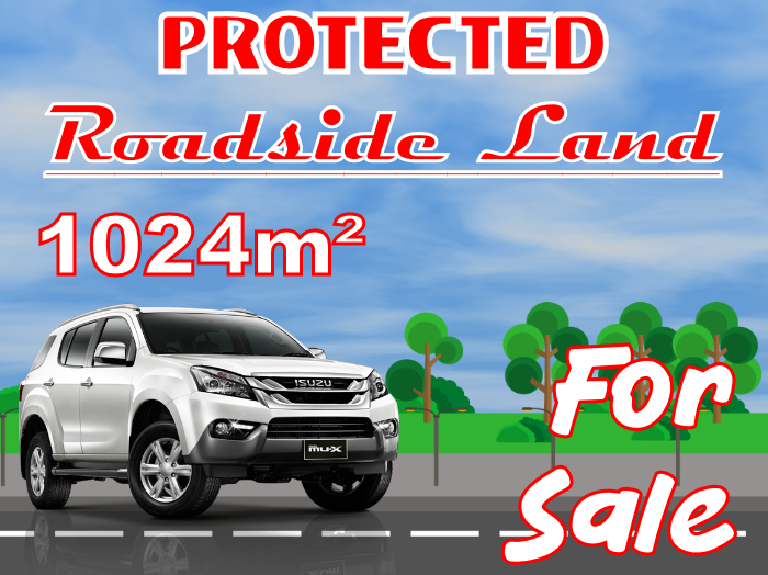 ☻PROTECTED ROADSIDE For Sale- POLYAKOV ☻ 