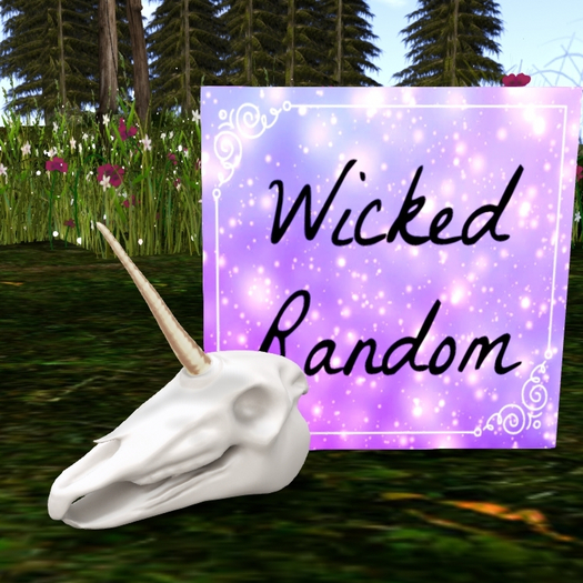 +Half-Deer+ Magical Curiosities - Unicorn Skull RARE