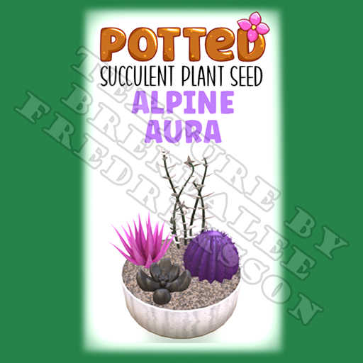 Potted: Succulent Plant Seed: Alpine Aura (ACTUAL PLANT SEED) - Retired!