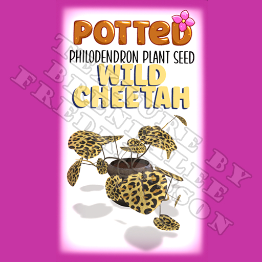 Potted: Philodendron Plant Seed: Wild Cheetah (ACTUAL PLANT SEED) - Retired!