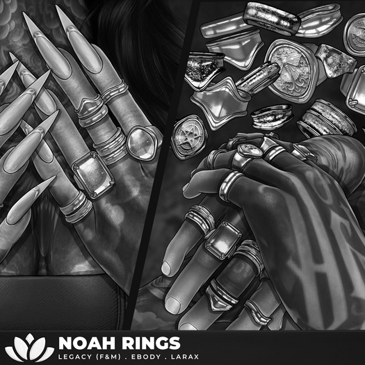 [BL] Noah rings // FATPACK DEMO