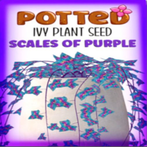 Potted: Ivy Plant Seed: Scales of Purple