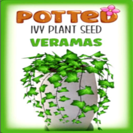 Potted: Ivy Plant Seed: Veramas