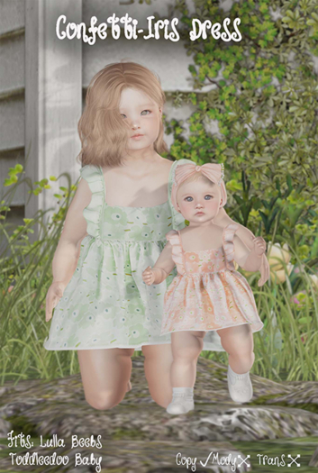 {Confetti} Iris Dress -Black