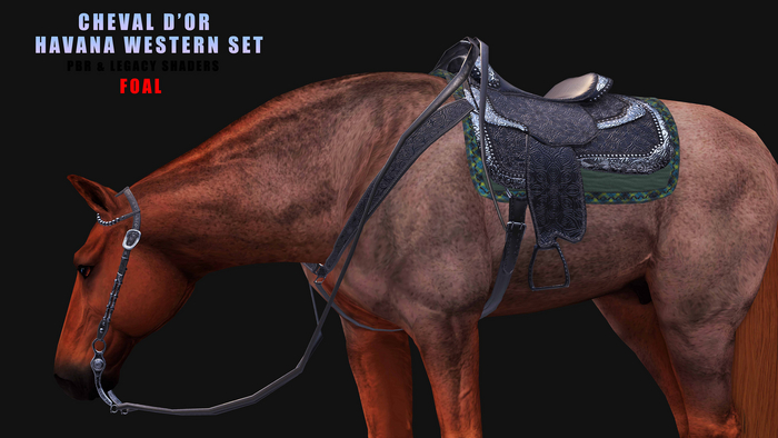 Cheval D'or / Teeglepet Foal / Havana Western Set. [HUD]