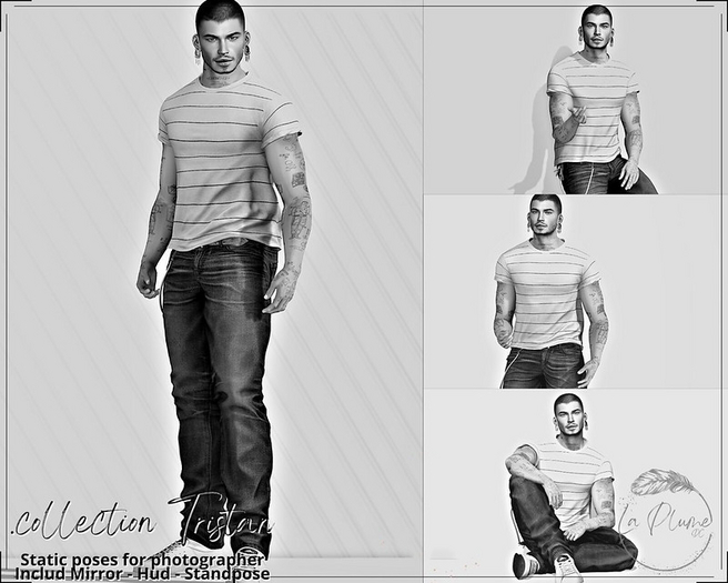 La Plume - .collection Tristan