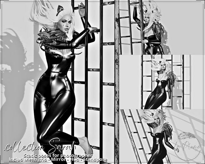 La Plume - .collection Sarah