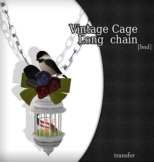 Vintage cage long chain bnd