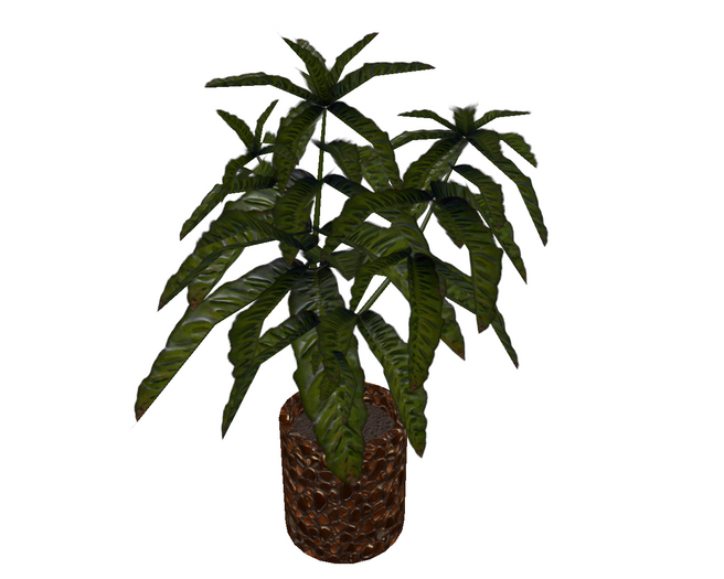 Tropical Plant Islands Brown Glass Pot