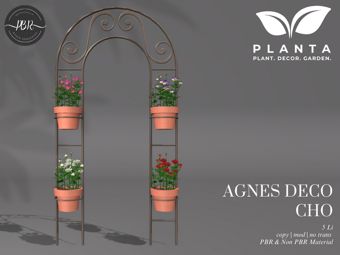 Planta - Agnes Deco Cho