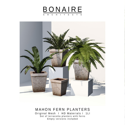 BONAIRE - Mahon fern planters