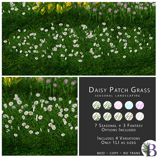 Bella Botanicals - Daisy Patch Grass (add me)