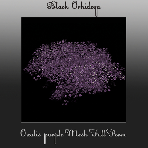 *BO* - Oxalis purple Mesh Full Perm