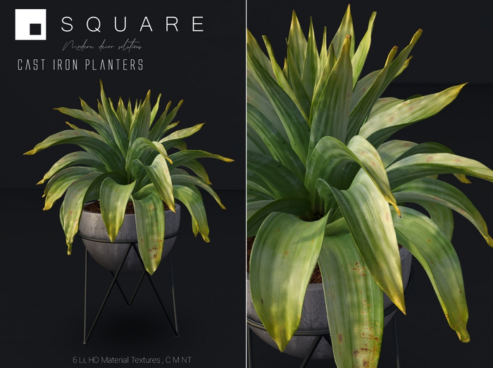 [ SQUARE ] - Cast Iron Planter 