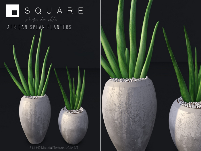 [ SQUARE ] - African spear Planters 