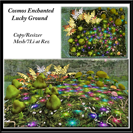 Cosmos Enchanted Lucky Ground (BOX)