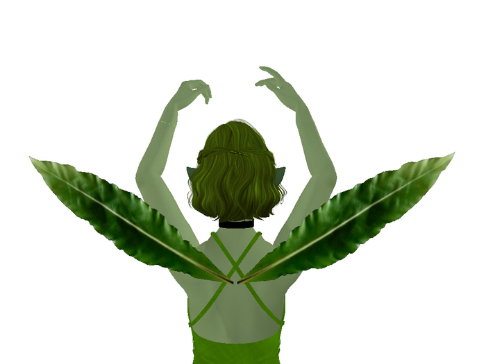Willow Leaf Wings