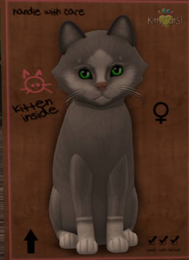 KittyCats! Diamond IV Female