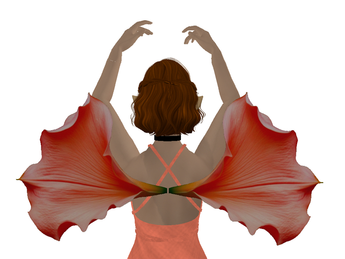 Pink Petal Wings