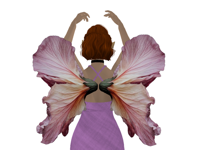 Pink Flower Petal Wings