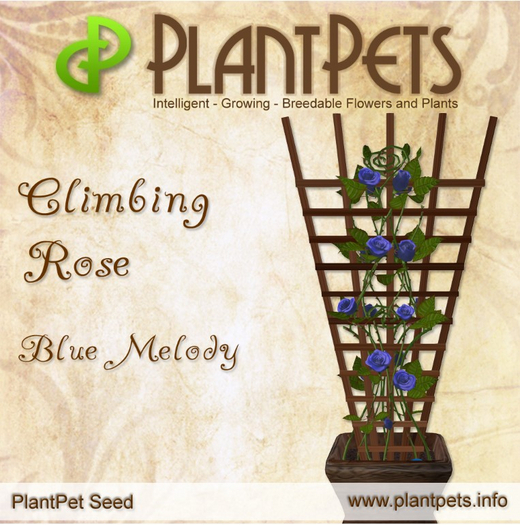 PlantPet Seed [Climbing Rose *Blue Melody*]
