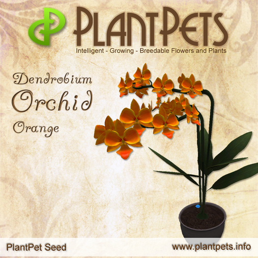 PlantPet Seed [Dendrobium Orchid *Orange*]