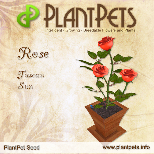 PlantPet Seed [Rose *Tuscan Sun*]