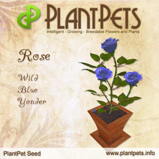 PlantPet Seed [Rose *Wild Blue Yonder*]