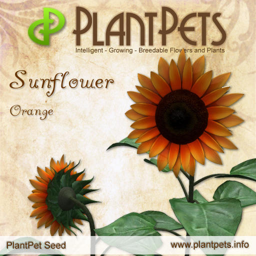 PlantPet Seed [Sunflower *Orange*]