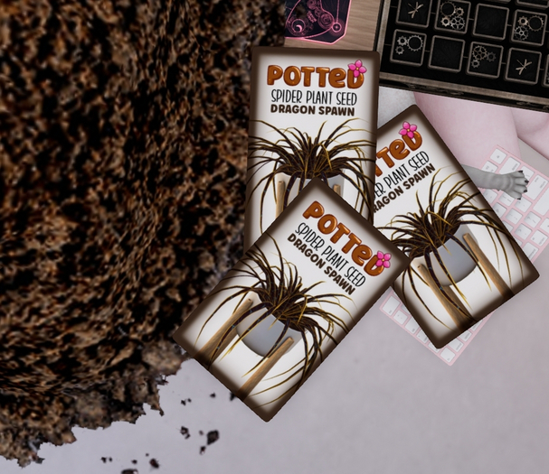 Potted: Spider Plant Seed: Dragon Spawn