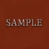 Zoy Texture [ Designers Leather Seamless 01 ] A