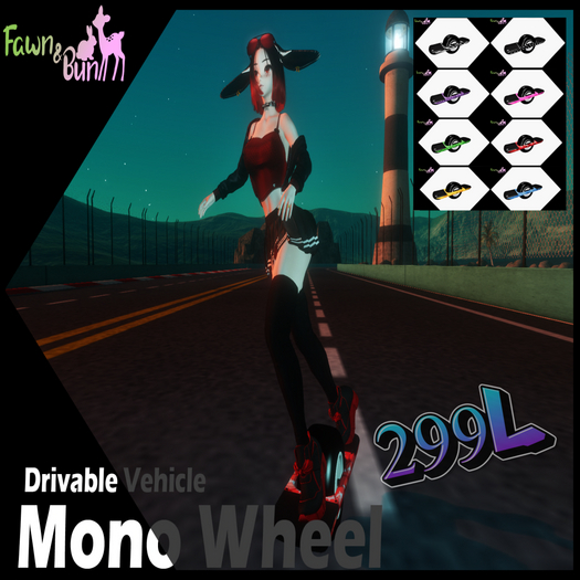 [F&B] Monowheel