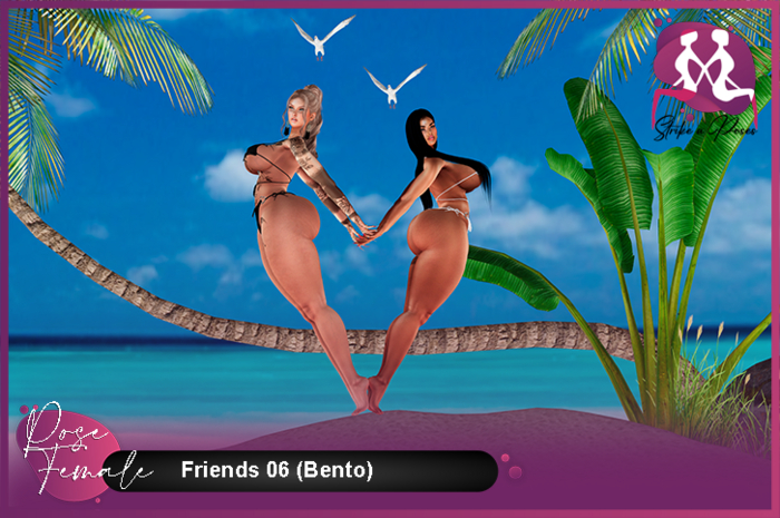 STRIKE A POSE - Friends 06 (Bento)
