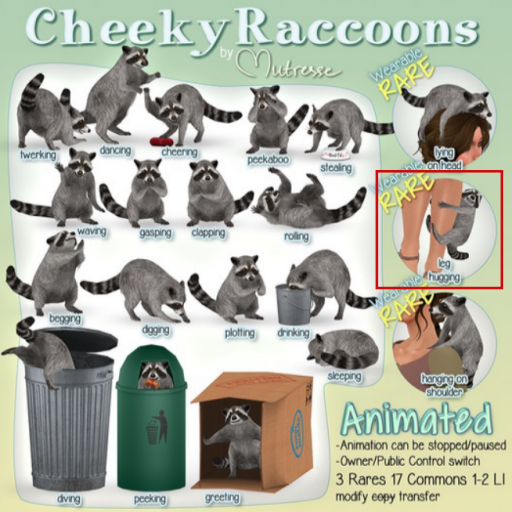 Mutresse-Cheeky Raccoons-Leg hugging (wear) RARE