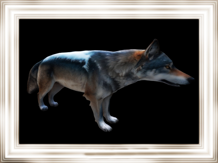 HB: Wolf Statue FULL PERM