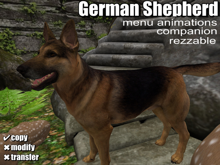 .:Bellart Studio:.German  Shepherd
