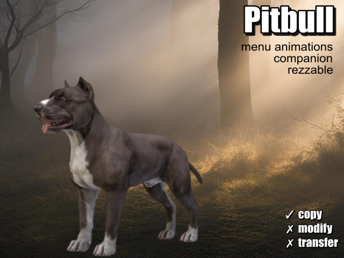 .:Bellart Studio:.Pitbull