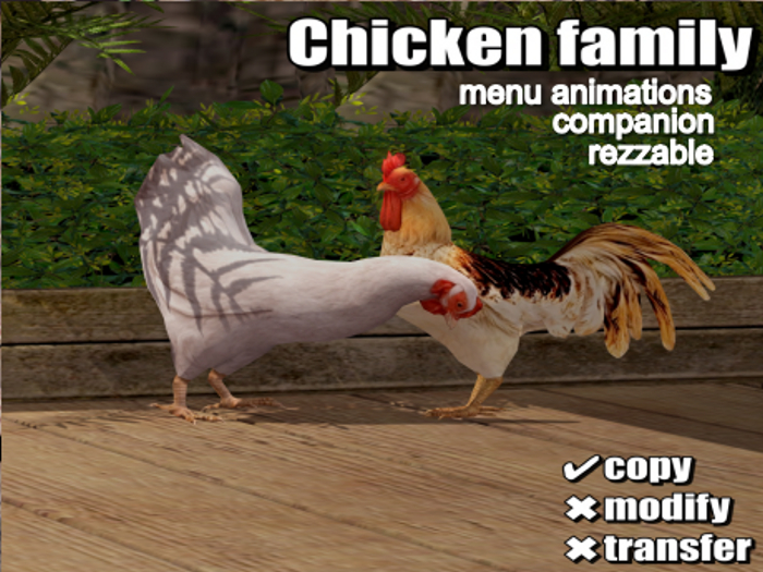 .:Bellart Studio:.Chicken and Rooster Family