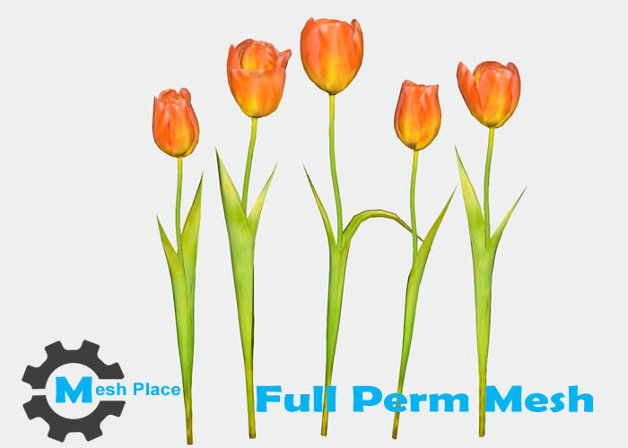 Mesh Place Tulip Flowers Full Perm